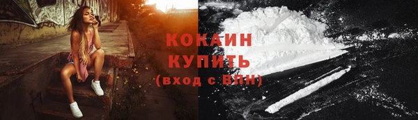 дурь Инсар