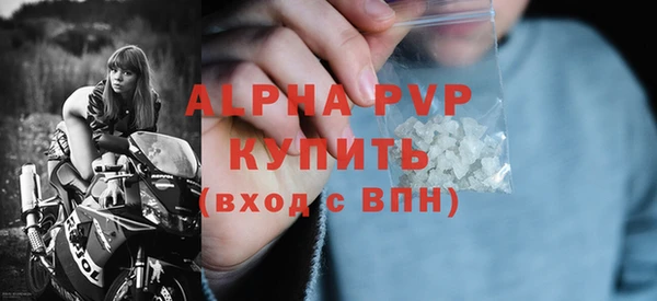PSILOCYBIN Иннополис