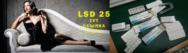PSILOCYBIN Иннополис