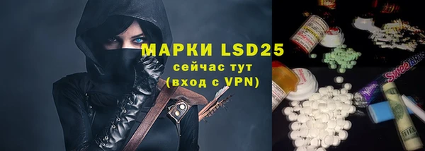 хмурый Инта
