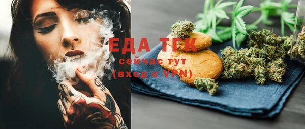 хмурый Инта